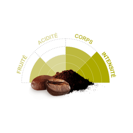 Café Mexique BIO grains 1 kg