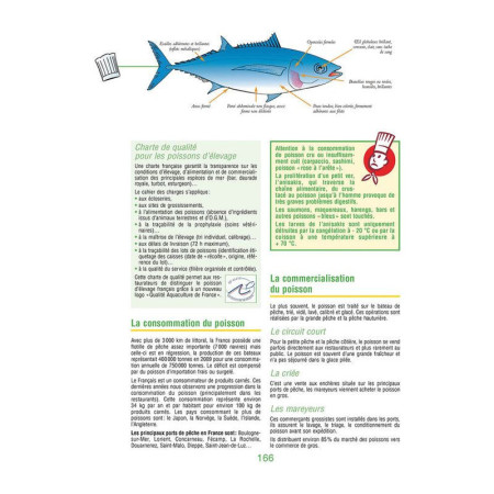 BTS techno culinaire