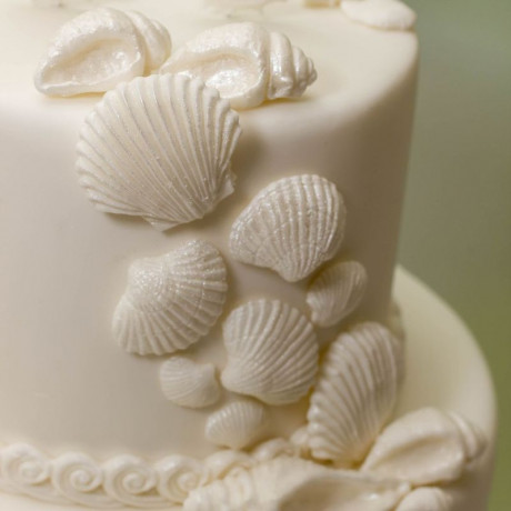 Moule Katy Sue Coquillages