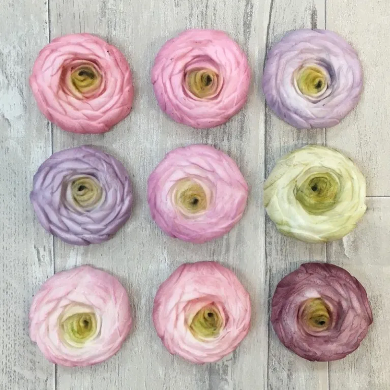 Karen Davies Silicone Mould - Buttercream Flowers