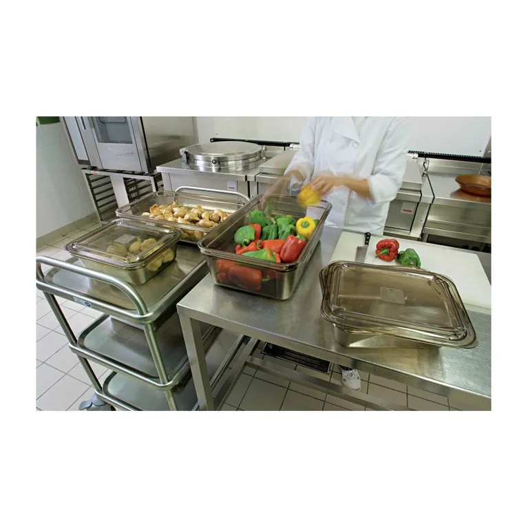 Bac gastronome Alto+ GN 1/6 176 x 162 x 100 mm