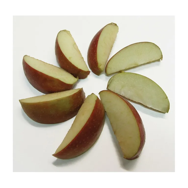 6-segment blade block for multicoupe corer segmenter