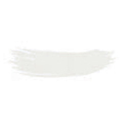 Colorant poudre alimentaire blanc 25 g