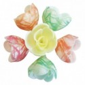 Décor azyme fleur pastel zébrée (lot de 72)