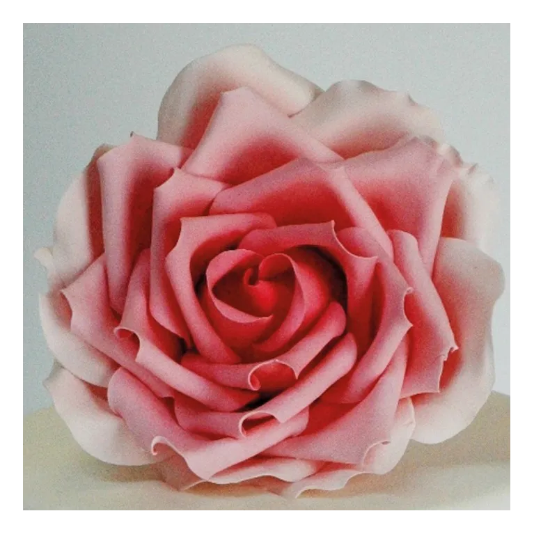 FMM Large Rose Petal Cutter Set/3