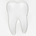 Cookie Cutter Tooth 6 cm