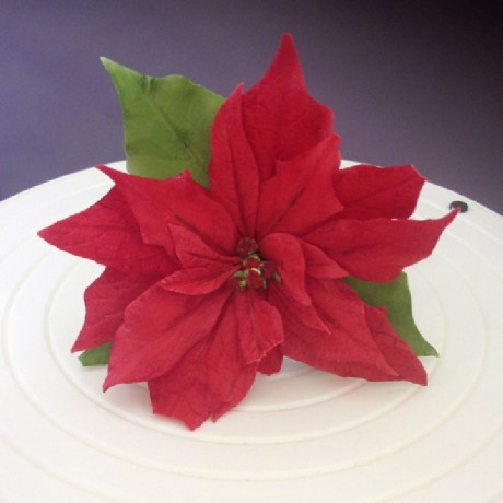 Découpoirs FMM poinsettia 7 pièces