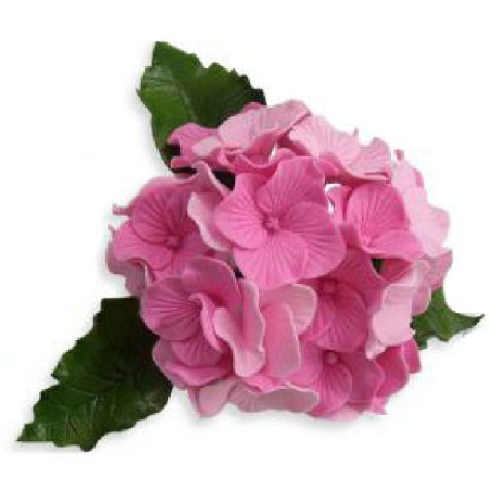 Découpoirs JEM hortensia 4 pièces