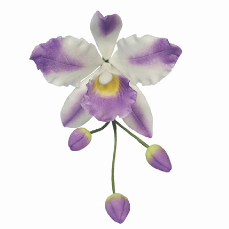 PME Cattleya Orchid Flower Petal cutter set/3