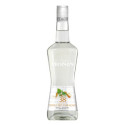 Triple sec curaçao Monin liqueur 70 cL