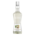White cocoa Monin liqueur 70 cL