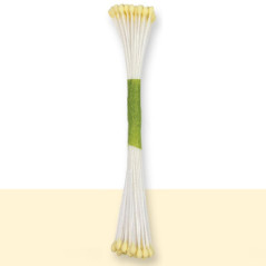 JEM Plain Stamen Fine Ivory pk/50