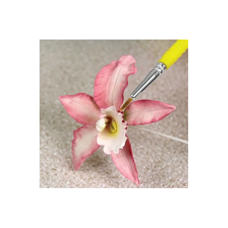 PME Decorating Brushes (Set of 5)