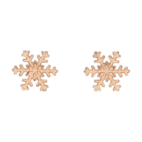 Décors en sucre FunCakes Flocons de neige bronze 12 pièces