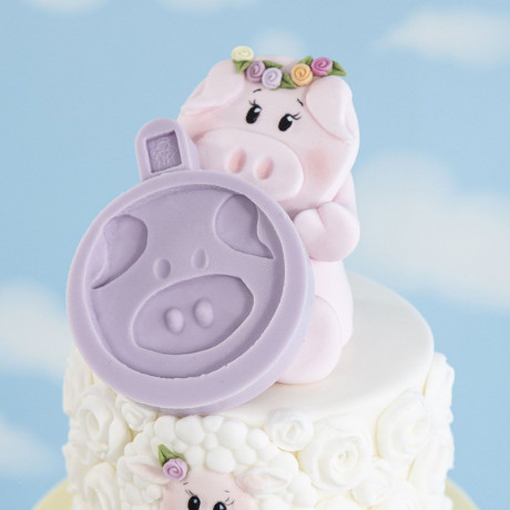 Karen Davies Pig Face Silicone Mold