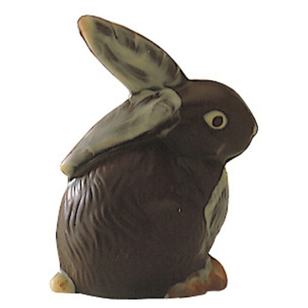 Moule lapin en polycarbonate pour chocolat