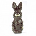 Moule lapin humoristique en polycarbonate pour chocolat