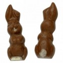 Chocolate mould polycarbonate 2 smiling rabbit