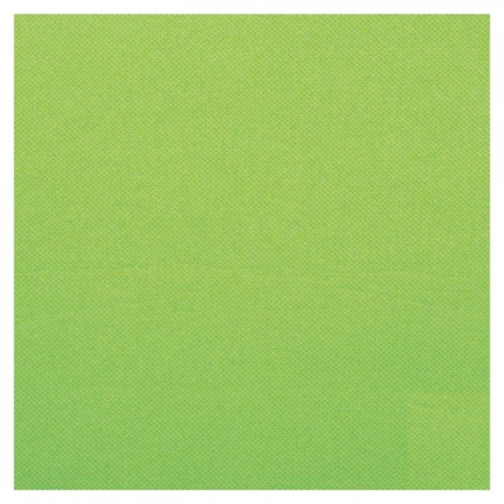 Celi-Ouate pistachio napkin 38 x 38 cm (900 pcs)