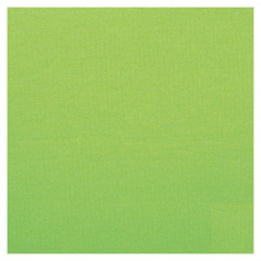 Serviette Celi-ouate pistache 38 x 38 cm (lot de 900)