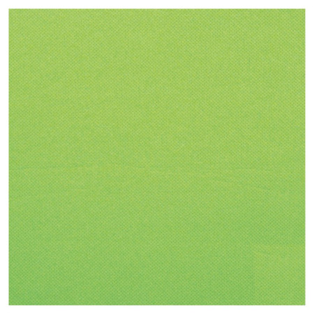 Serviette Celi-ouate pistache 38 x 38 cm (lot de 900)