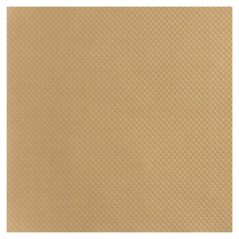 Place mat vanilla 400 x 300 mm (500 pcs)