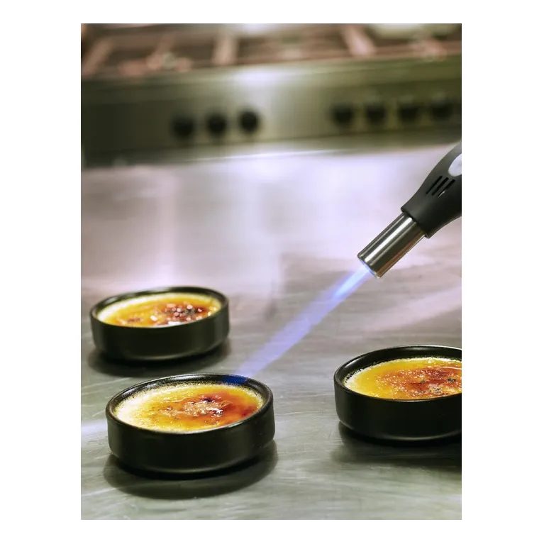 Professional culinary blow torch