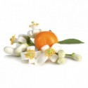 Orange blossom 100 g