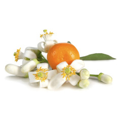 Orange blossom 100 g