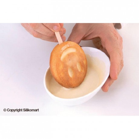 Mr Funny popsicles mould