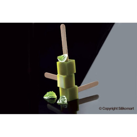Kube mini popsicles mould
