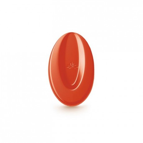 Inspiration Fraise couverture de fruits fèves 500 g