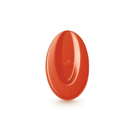 Inspiration Fraise couverture de fruits fèves 500 g