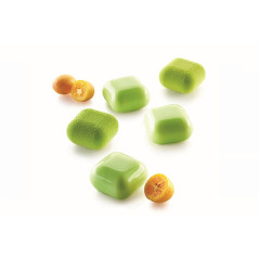 Moule silicone Gem30 40 x 40 x 23 mm