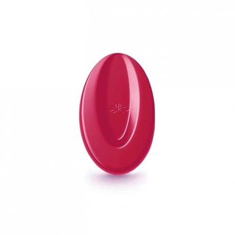 Inspiration Framboise couverture de fruits fèves 500 g