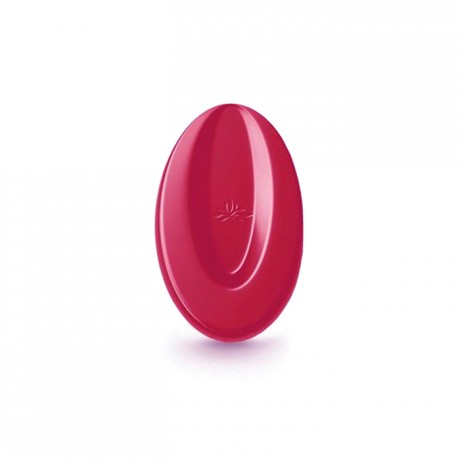 Inspiration Framboise couverture de fruits fèves 3 kg