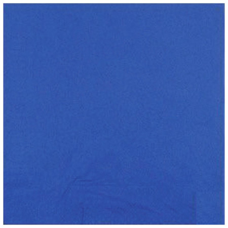 Serviette ouate marine 2 plis 40 x 40 cm (lot de 2400)