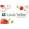 Louis Tellier